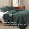 imageBedsure 100 Cotton Quilt Set  Queen Size Bedspread Lightweight Soft Bed Coverlet PureWoven 3Piece Cozy Stitching Comforter with 2 Pillow Shams in Embroidery Clover Pattern 90x96 in Linen Beige10  Dark Green Checker