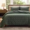 imageBedsure 100 Cotton Quilt Set  Queen Size Bedspread Lightweight Soft Bed Coverlet PureWoven 3Piece Cozy Stitching Comforter with 2 Pillow Shams in Embroidery Clover Pattern 90x96 in Linen Beige05  Olive Green  Four Leaf Clover