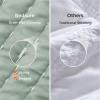 imageBedsure Quilts Queen Size  Queen Quilt Bedding Set Bedspread Coverlet Comforter Lightweight Neutral Striped Bedding 3Piece Set with 90x96 Coverlet amp 2 Pillow Shams AllSeason Soft Microfiber04  Green Solid Border