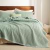 imageBedsure Quilts Queen Size  Queen Quilt Bedding Set Bedspread Coverlet Comforter Lightweight Neutral Striped Bedding 3Piece Set with 90x96 Coverlet amp 2 Pillow Shams AllSeason Soft Microfiber10  Green Contrast Border