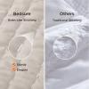 imageBedsure Quilts Queen Size  Queen Quilt Bedding Set Bedspread Coverlet Comforter Lightweight Neutral Striped Bedding 3Piece Set with 90x96 Coverlet amp 2 Pillow Shams AllSeason Soft Microfiber01  Light Beige Solid Border