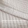 imageBedsure Quilts Queen Size  Queen Quilt Bedding Set Bedspread Coverlet Comforter Lightweight Neutral Striped Bedding 3Piece Set with 90x96 Coverlet amp 2 Pillow Shams AllSeason Soft Microfiber07  Linen Contrast Border