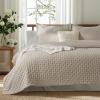 imageBedsure Quilts Queen Size  StitchFree Ultrasonic Quilting Lightweight Olive Green Comforter AllSeason Bedspread amp Coverlet Modern Floral Pattern Soft 3 Piece Machine Washable Bedding 90 x 96  StitchFree Quilting Ultra Soft Lightweight Machine Washable PetFriendly12  Linen  Clover