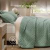imageBedsure Quilts Queen Size  StitchFree Ultrasonic Quilting Lightweight Olive Green Comforter AllSeason Bedspread amp Coverlet Modern Floral Pattern Soft 3 Piece Machine Washable Bedding 90 x 96  StitchFree Quilting Ultra Soft Lightweight Machine Washable PetFriendly10  Sage Green  Clover