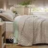 imageBedsure Quilts Queen Size  StitchFree Ultrasonic Quilting Lightweight Olive Green Comforter AllSeason Bedspread amp Coverlet Modern Floral Pattern Soft 3 Piece Machine Washable Bedding 90 x 96  StitchFree Quilting Ultra Soft Lightweight Machine Washable PetFriendly12  Linen  Clover