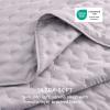 imageBedsure Quilts Queen Size  StitchFree Ultrasonic Quilting Lightweight Olive Green Comforter AllSeason Bedspread amp Coverlet Modern Floral Pattern Soft 3 Piece Machine Washable Bedding 90 x 96  StitchFree Quilting Ultra Soft Lightweight Machine Washable PetFriendly18  Purple  Clover