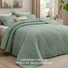 imageBedsure Quilts Queen Size  StitchFree Ultrasonic Quilting Lightweight Olive Green Comforter AllSeason Bedspread amp Coverlet Modern Floral Pattern Soft 3 Piece Machine Washable Bedding 90 x 96  StitchFree Quilting Ultra Soft Lightweight Machine Washable PetFriendly10  Sage Green  Clover