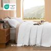 imageBedsure Quilts Queen Size  StitchFree Ultrasonic Quilting Lightweight Olive Green Comforter AllSeason Bedspread amp Coverlet Modern Floral Pattern Soft 3 Piece Machine Washable Bedding 90 x 96  StitchFree Quilting Ultra Soft Lightweight Machine Washable PetFriendly20  White  Leaf