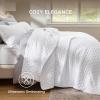 imageBedsure Quilts Queen Size  StitchFree Ultrasonic Quilting Lightweight Olive Green Comforter AllSeason Bedspread amp Coverlet Modern Floral Pattern Soft 3 Piece Machine Washable Bedding 90 x 96  StitchFree Quilting Ultra Soft Lightweight Machine Washable PetFriendly01  Bright White  Clover