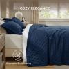 imageBedsure Quilts Queen Size  StitchFree Ultrasonic Quilting Lightweight Olive Green Comforter AllSeason Bedspread amp Coverlet Modern Floral Pattern Soft 3 Piece Machine Washable Bedding 90 x 96  StitchFree Quilting Ultra Soft Lightweight Machine Washable PetFriendly02  Navy  Clover