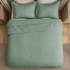 imageBedsure Quilts Queen Size  StitchFree Ultrasonic Quilting Lightweight Olive Green Comforter AllSeason Bedspread amp Coverlet Modern Floral Pattern Soft 3 Piece Machine Washable Bedding 90 x 96  StitchFree Quilting Ultra Soft Lightweight Machine Washable PetFriendly10  Sage Green  Clover