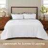 imageBedsure Quilts Queen Size  StitchFree Ultrasonic Quilting Lightweight Olive Green Comforter AllSeason Bedspread amp Coverlet Modern Floral Pattern Soft 3 Piece Machine Washable Bedding 90 x 96  StitchFree Quilting Ultra Soft Lightweight Machine Washable PetFriendly01  Bright White  Clover