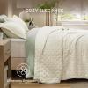 imageBedsure Quilts Queen Size  StitchFree Ultrasonic Quilting Lightweight Olive Green Comforter AllSeason Bedspread amp Coverlet Modern Floral Pattern Soft 3 Piece Machine Washable Bedding 90 x 96  StitchFree Quilting Ultra Soft Lightweight Machine Washable PetFriendly17  Ivory  Clover