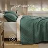 imageBedsure Quilts Queen Size  StitchFree Ultrasonic Quilting Lightweight Olive Green Comforter AllSeason Bedspread amp Coverlet Modern Floral Pattern Soft 3 Piece Machine Washable Bedding 90 x 96  StitchFree Quilting Ultra Soft Lightweight Machine Washable PetFriendly09  Dark Green  Clover