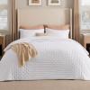 imageBedsure Quilts Queen Size  StitchFree Ultrasonic Quilting Lightweight Olive Green Comforter AllSeason Bedspread amp Coverlet Modern Floral Pattern Soft 3 Piece Machine Washable Bedding 90 x 96  StitchFree Quilting Ultra Soft Lightweight Machine Washable PetFriendly01  Bright White  Clover