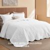 imageBedsure Quilts Queen Size  StitchFree Ultrasonic Quilting Lightweight Olive Green Comforter AllSeason Bedspread amp Coverlet Modern Floral Pattern Soft 3 Piece Machine Washable Bedding 90 x 96  StitchFree Quilting Ultra Soft Lightweight Machine Washable PetFriendly20  White  Leaf