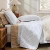 imageBedsure Quilts Queen Size  StitchFree Ultrasonic Quilting Lightweight Olive Green Comforter AllSeason Bedspread amp Coverlet Modern Floral Pattern Soft 3 Piece Machine Washable Bedding 90 x 96  StitchFree Quilting Ultra Soft Lightweight Machine Washable PetFriendly01  Bright White  Clover