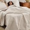 imageBedsure Quilts Queen Size  StitchFree Ultrasonic Quilting Lightweight Olive Green Comforter AllSeason Bedspread amp Coverlet Modern Floral Pattern Soft 3 Piece Machine Washable Bedding 90 x 96  StitchFree Quilting Ultra Soft Lightweight Machine Washable PetFriendly13 Beige  Floral