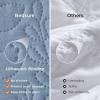 imageBedsure Quilts Queen Size  StitchFree Ultrasonic Quilting Lightweight Olive Green Comforter AllSeason Bedspread amp Coverlet Modern Floral Pattern Soft 3 Piece Machine Washable Bedding 90 x 96  StitchFree Quilting Ultra Soft Lightweight Machine Washable PetFriendly22  Mineral Blue  Leaf