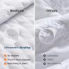 imageBedsure Quilts Queen Size  StitchFree Ultrasonic Quilting Lightweight Olive Green Comforter AllSeason Bedspread amp Coverlet Modern Floral Pattern Soft 3 Piece Machine Washable Bedding 90 x 96  StitchFree Quilting Ultra Soft Lightweight Machine Washable PetFriendly01  Bright White  Clover