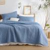 imageBedsure Quilts Queen Size  Queen Quilt Bedding Set Bedspread Coverlet Comforter Lightweight Neutral Striped Bedding 3Piece Set with 90x96 Coverlet amp 2 Pillow Shams AllSeason Soft Microfiber03  Blue Solid Border