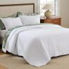 imageBedsure Quilts Queen Size  StitchFree Ultrasonic Quilting Lightweight Olive Green Comforter AllSeason Bedspread amp Coverlet Modern Floral Pattern Soft 3 Piece Machine Washable Bedding 90 x 96  StitchFree Quilting Ultra Soft Lightweight Machine Washable PetFriendly01  Bright White  Clover