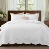 imageBedsure Quilts Queen Size  StitchFree Ultrasonic Quilting Lightweight Olive Green Comforter AllSeason Bedspread amp Coverlet Modern Floral Pattern Soft 3 Piece Machine Washable Bedding 90 x 96  StitchFree Quilting Ultra Soft Lightweight Machine Washable PetFriendly20  White  Leaf