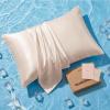 imageBedsure Cooling Pillowcase Silk  Like Pillow Cases Queen Size Set of 2 Zipper Pillow Case Infused 3 HA amp Ceramides to Hydrate Skin OekoTEX Certified White02  Beige