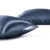 imageBedsure Satin Pillowcase with Zipper Similar to Silk Pillow Cases 2 Pack Satin King Size Pillow Cases Set of 2 Silky amp Soft Pillow Cover for Hair and Skin Gifts for Women Men Pink 20x36 Inches09  Blue  Zipper