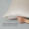 imageBedsure Satin Pillowcase with Zipper Similar to Silk Pillow Cases 2 Pack Satin King Size Pillow Cases Set of 2 Silky amp Soft Pillow Cover for Hair and Skin Gifts for Women Men Pink 20x36 Inches01  Beige  Zipper