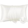 imageBedsure Satin Pillowcase with Zipper Similar to Silk Pillow Cases 2 Pack Satin King Size Pillow Cases Set of 2 Silky amp Soft Pillow Cover for Hair and Skin Gifts for Women Men Pink 20x36 Inches06  Ivory  Zipper