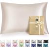 imageBedsure Satin Pillowcase with Zipper Similar to Silk Pillow Cases 2 Pack Satin King Size Pillow Cases Set of 2 Silky amp Soft Pillow Cover for Hair and Skin Gifts for Women Men Pink 20x36 Inches01  Beige  Zipper