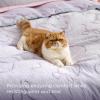 imageBedsure Green Duvet Cover Queen Size with Bowknot Jacquard Design Soft and Elegant Boho Bedding Set Luxurious Craftsmanship for a Stylish BedroomIncludes 1 90x90 Duvet Cover amp 2 Pillow Shams22  Purple Bowknot No Comforter