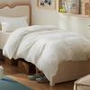 02 - Cream White (No Comforter)