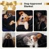 imageBedsure GentleSoft Yellow Throw Blanket for Couch  Super Soft Cozy Blankets for Women Cute Small Blanket for Girls 50x70 InchesBlack