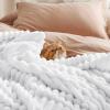imageBedsure GentleSoft Yellow Throw Blanket for Couch  Super Soft Cozy Blankets for Women Cute Small Blanket for Girls 50x70 InchesBright White
