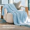 imageBedsure GentleSoft Yellow Throw Blanket for Couch  Super Soft Cozy Blankets for Women Cute Small Blanket for Girls 50x70 InchesLight Blue