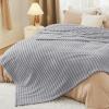 imageBedsure GentleSoft Yellow Throw Blanket for Couch  Super Soft Cozy Blankets for Women Cute Small Blanket for Girls 50x70 InchesLight Grey
