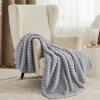 imageBedsure GentleSoft Yellow Throw Blanket for Couch  Super Soft Cozy Blankets for Women Cute Small Blanket for Girls 50x70 InchesLight Grey