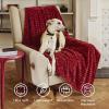 imageBedsure GentleSoft Yellow Throw Blanket for Couch  Super Soft Cozy Blankets for Women Cute Small Blanket for Girls 50x70 InchesRed