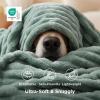 imageBedsure GentleSoft Yellow Throw Blanket for Couch  Super Soft Cozy Blankets for Women Cute Small Blanket for Girls 50x70 InchesSage Green
