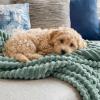 imageBedsure GentleSoft Yellow Throw Blanket for Couch  Super Soft Cozy Blankets for Women Cute Small Blanket for Girls 50x70 InchesSage Green
