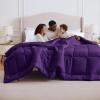 imageBedsure Comforter Duvet Insert  Quilted Comforters Twin XL Size All Season Duvet GentleSoft Down Alternative Bedding Blanket with 8 Tabs Gifts for WomenMen Red Twin XL 92 x 68 InchesPurple