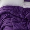 imageBedsure Comforter Duvet Insert  Quilted Comforters Twin XL Size All Season Duvet GentleSoft Down Alternative Bedding Blanket with 8 Tabs Gifts for WomenMen Red Twin XL 92 x 68 InchesPurple