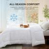 imageBedsure Comforter Duvet Insert  Quilted Comforters Twin XL Size All Season Duvet GentleSoft Down Alternative Bedding Blanket with 8 Tabs Gifts for WomenMen Red Twin XL 92 x 68 InchesWhite