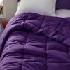 imageBedsure Comforter Duvet Insert  Quilted Comforters Twin XL Size All Season Duvet GentleSoft Down Alternative Bedding Blanket with 8 Tabs Gifts for WomenMen Red Twin XL 92 x 68 InchesPurple