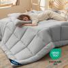 imageBedsure Comforter Duvet Insert  Quilted Comforters Twin XL Size All Season Duvet GentleSoft Down Alternative Bedding Blanket with 8 Tabs Gifts for WomenMen Red Twin XL 92 x 68 InchesLight Grey