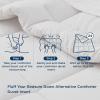 imageBedsure Comforter Duvet Insert  Quilted Comforters Twin XL Size All Season Duvet GentleSoft Down Alternative Bedding Blanket with 8 Tabs Gifts for WomenMen Red Twin XL 92 x 68 InchesBeige