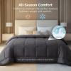 imageBedsure Comforter Duvet Insert  Quilted Comforters Twin XL Size All Season Duvet GentleSoft Down Alternative Bedding Blanket with 8 Tabs Gifts for WomenMen Red Twin XL 92 x 68 InchesGrey