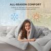 imageBedsure Comforter Duvet Insert  Quilted Comforters Twin XL Size All Season Duvet GentleSoft Down Alternative Bedding Blanket with 8 Tabs Gifts for WomenMen Red Twin XL 92 x 68 InchesLight Grey